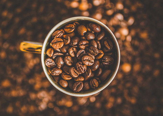 UN VIAJE A TRAVÉS DE LOS DISTINTOS TIPOS DE CAFÉ: Parte II